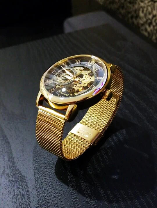 Forsining Transparent Case 2017 Fashion 3D Logo Engraving Golden Stainless Steel Men Mechanical Watch Top Brand Luxury Skeleton